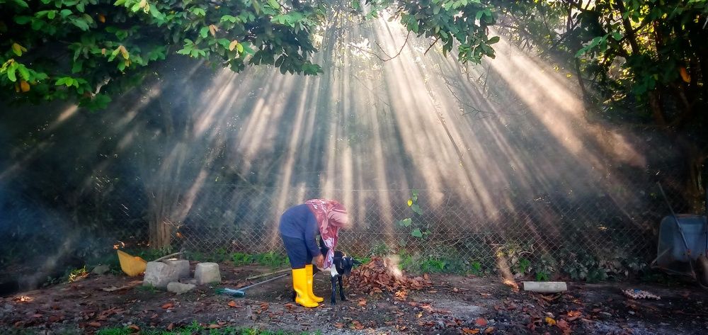 Photograph by Abdul Hamid Abdullah