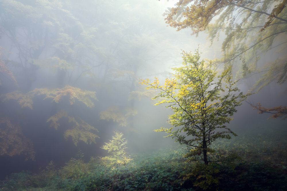 Photograph by Emiliano Raineri