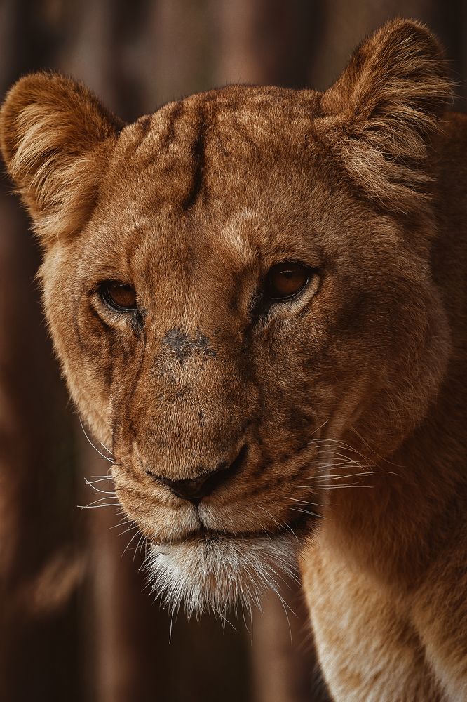 Photograph by  Shady