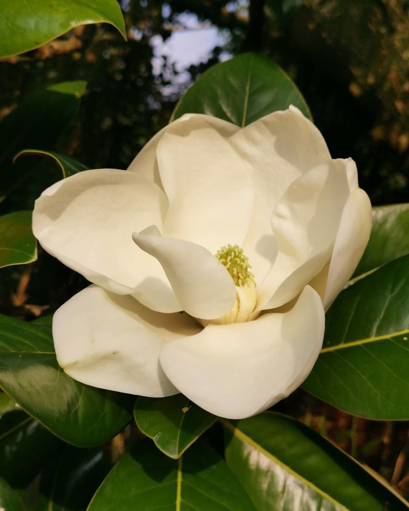 Photograph by Ирина Егармина