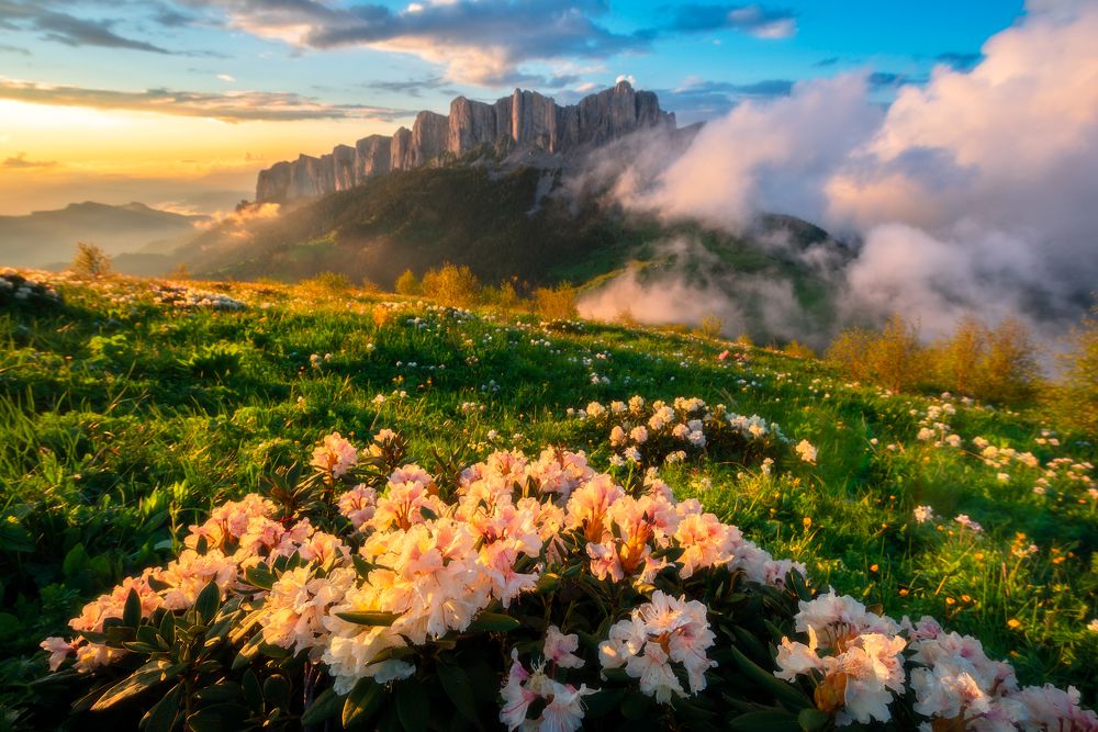 Photograph by Евгений Дробжев