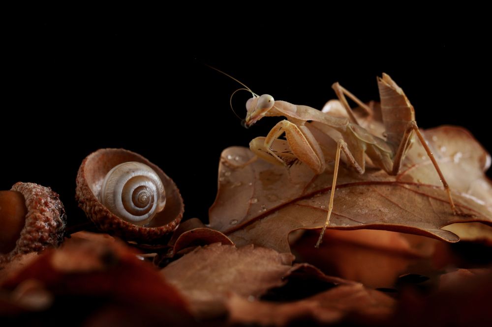 Photograph by Юлия Яремко