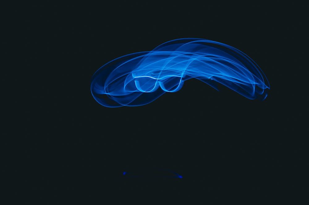 Photograph by Nik Vavilov