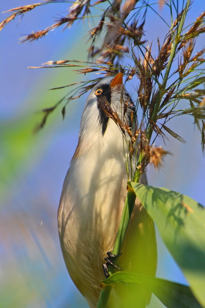 Photograph by Оксана Маховская