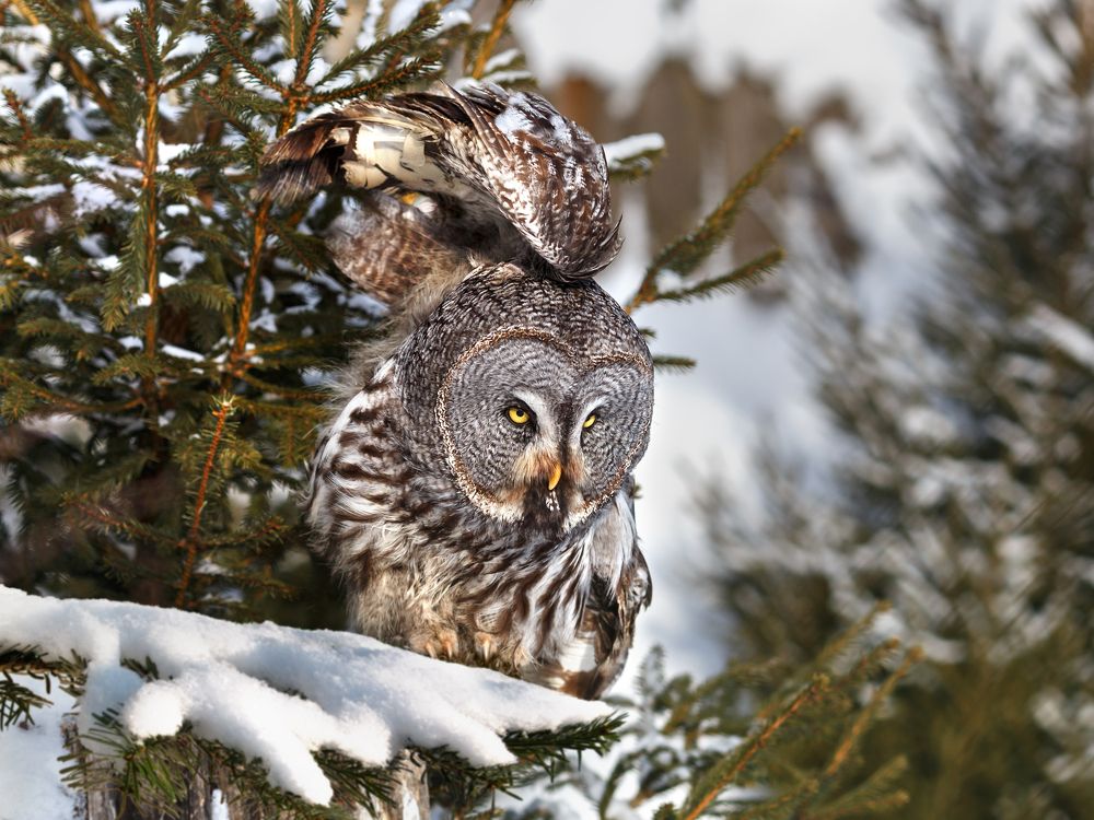 Photograph by Олег Богданов