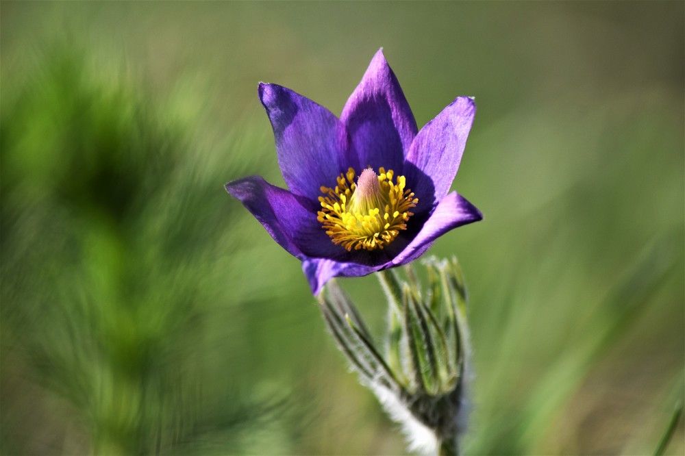 Photograph by Лариса Стрекулева