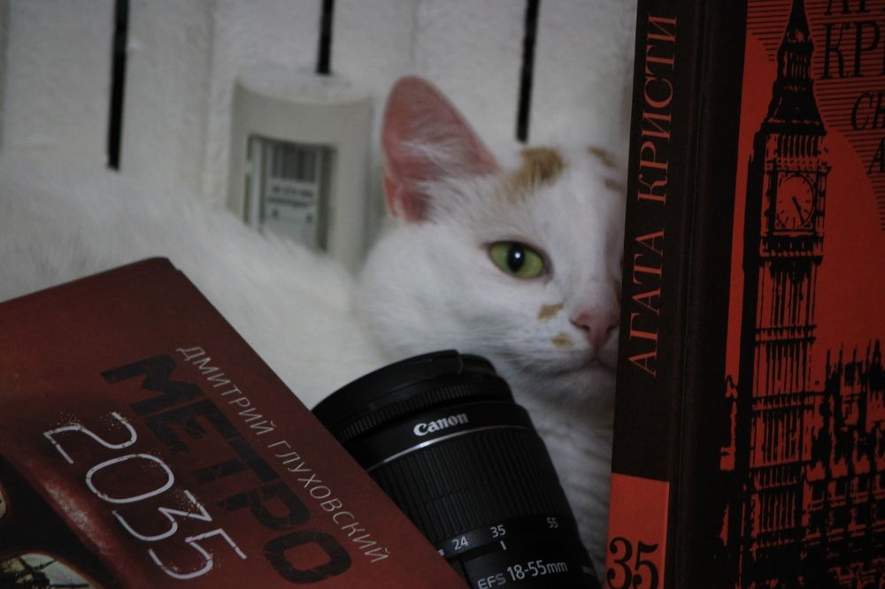 Фотография автора Никита Гутор