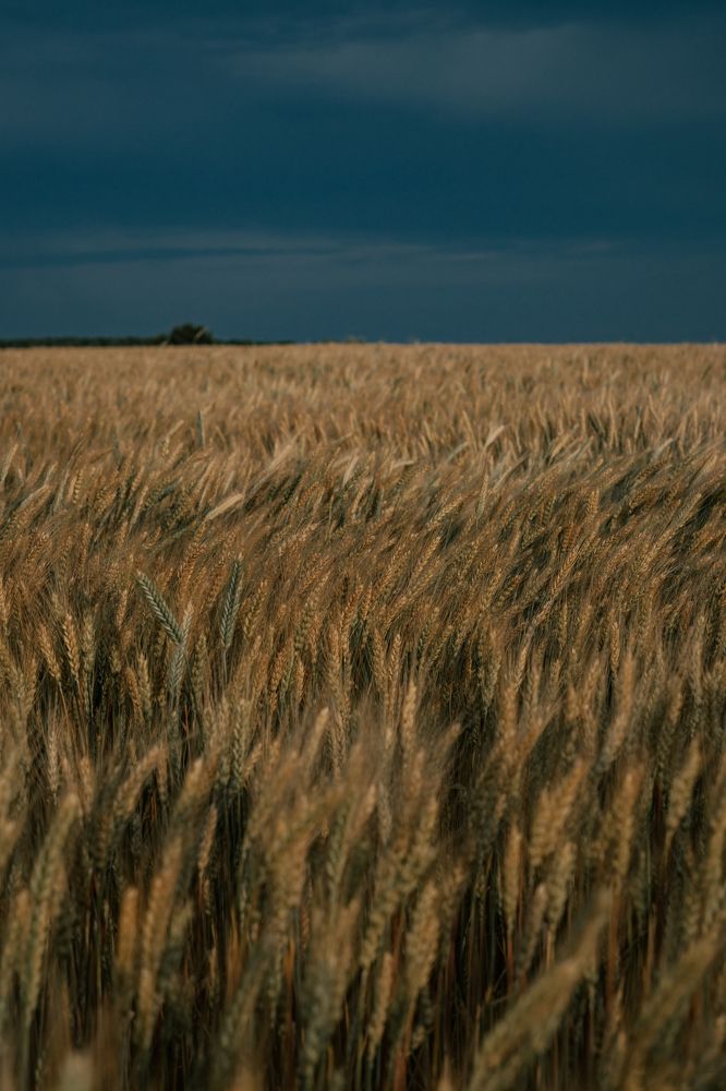 Photograph by Ольга Савина