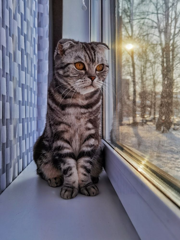 Photograph by Данил Макаренко