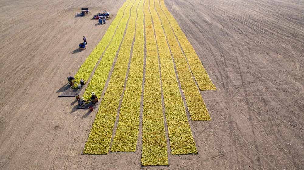 Photograph by ERDEM ARIF YIGIT