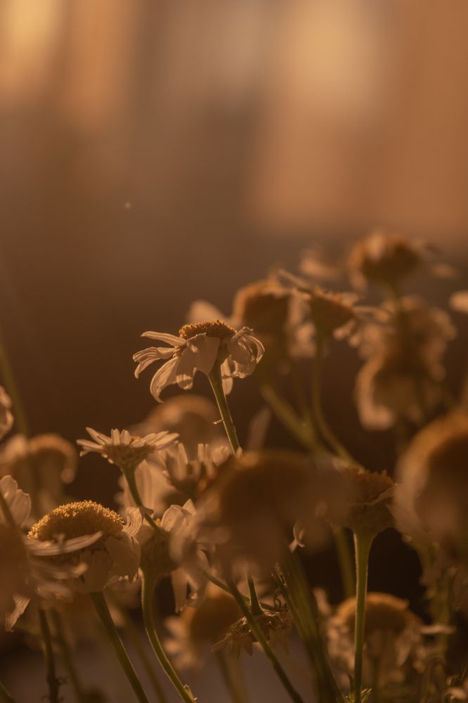 Photograph by Ольга Савина