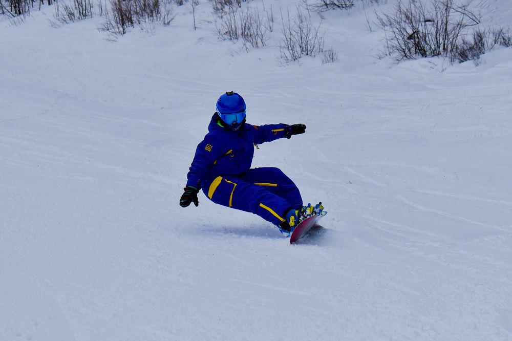 Photograph by Михаил Жарков