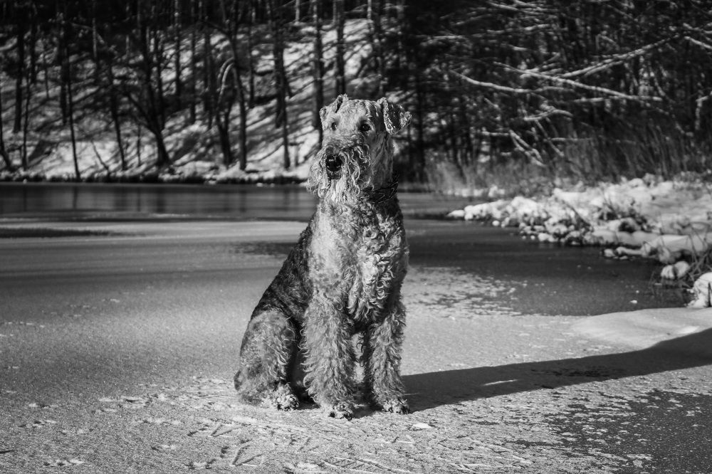 Photograph by Матвей Короткин