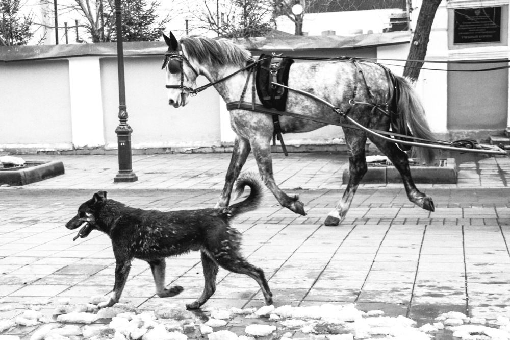 Photograph by Юлия Исковских