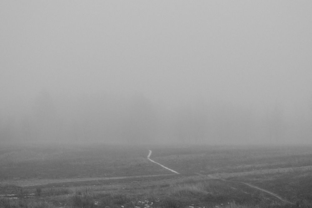 Photograph by Ольга Савина