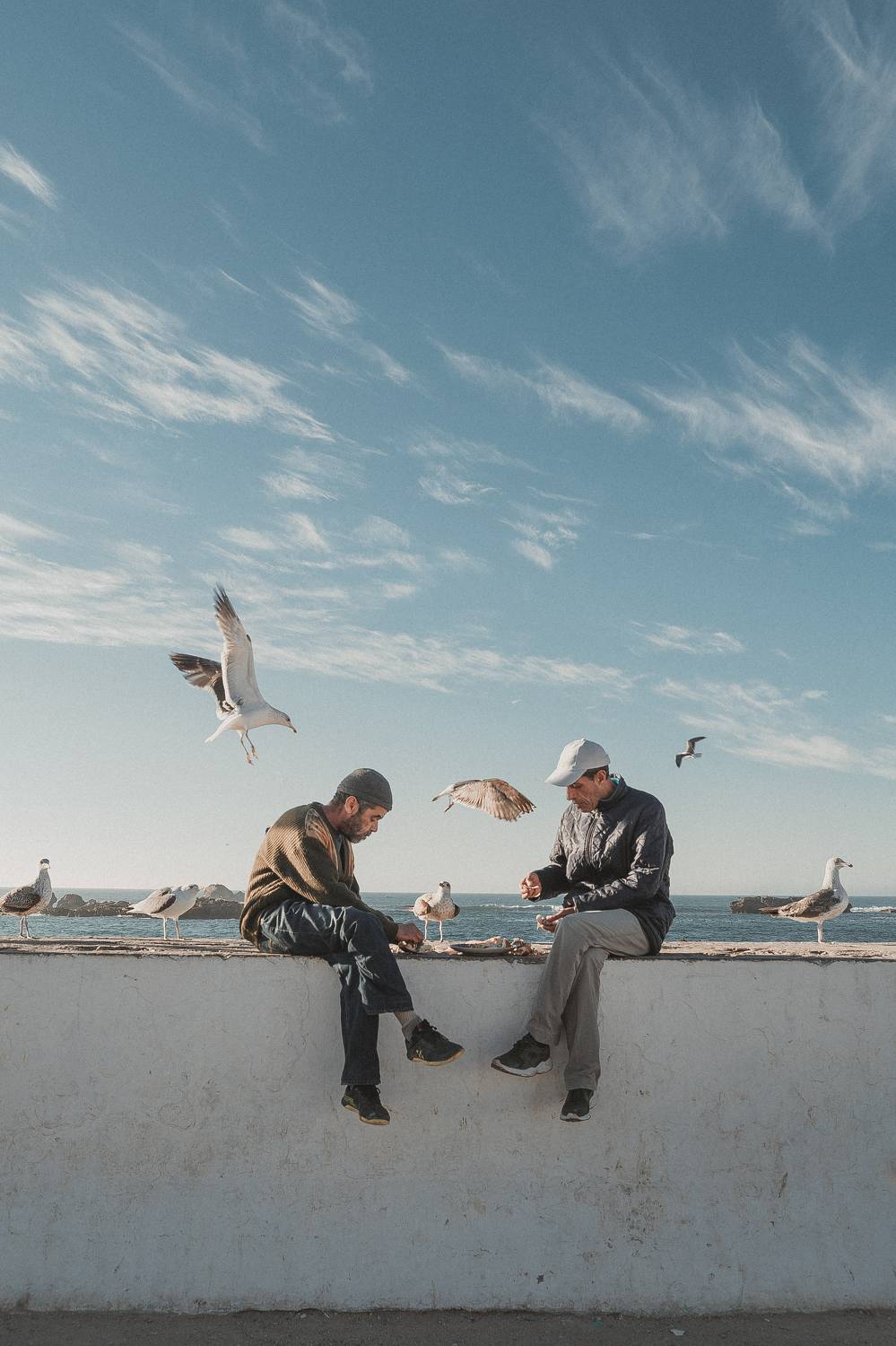 Фотография #7370406