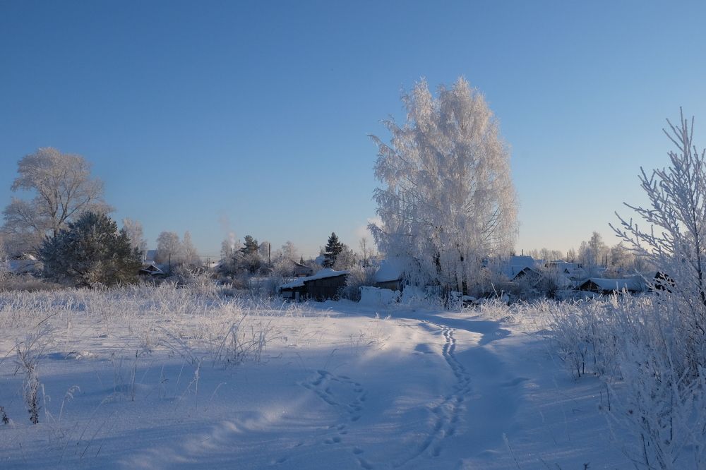 Фотография автора Наталья Липовская