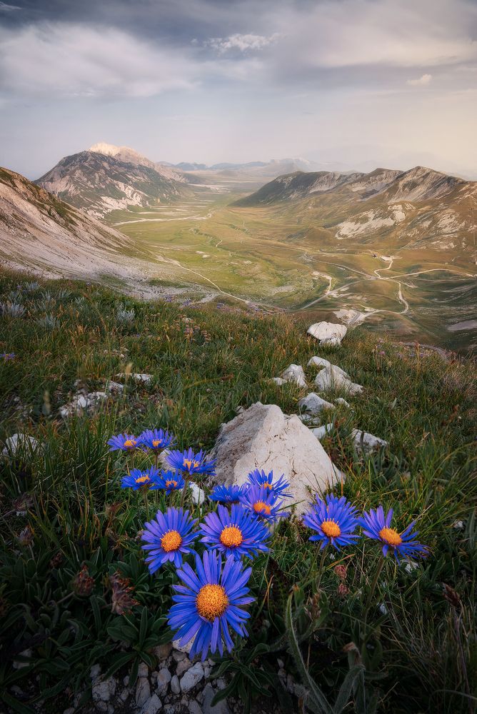 Photograph by Francesco Turra