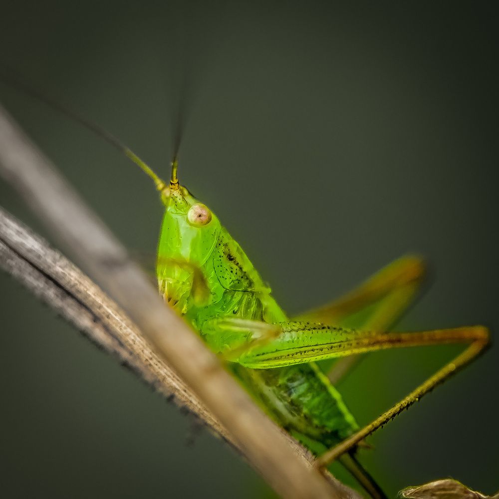 Photograph by Elias Deus