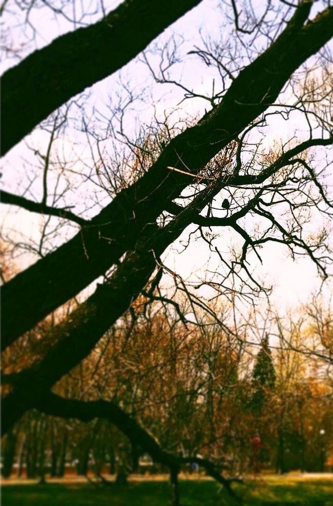 Photograph by Светлана Соль