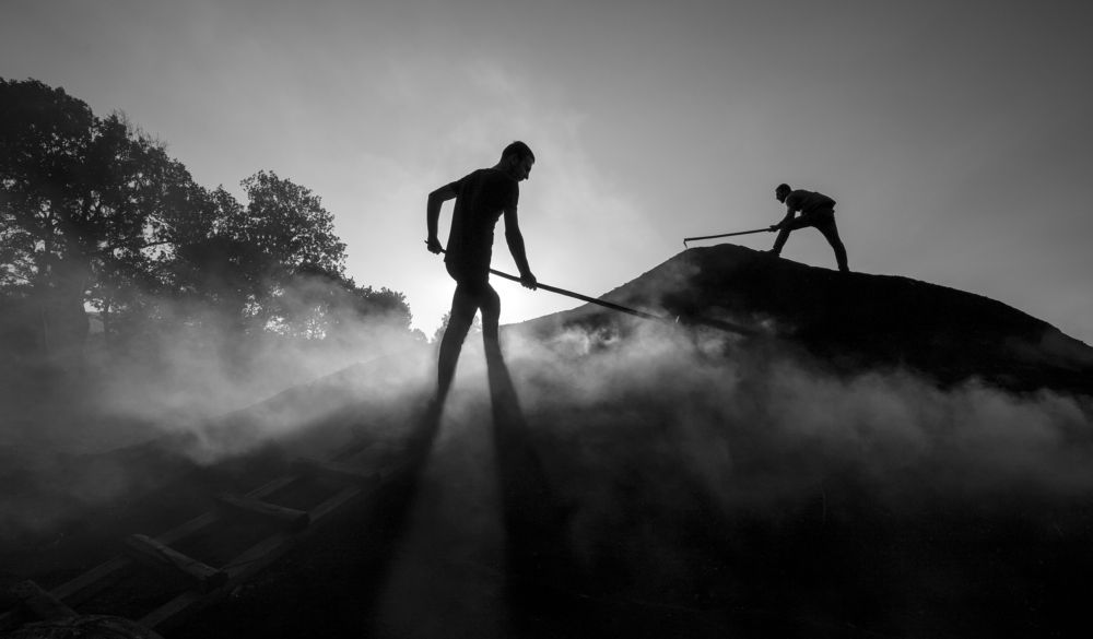 Фотография #7370474