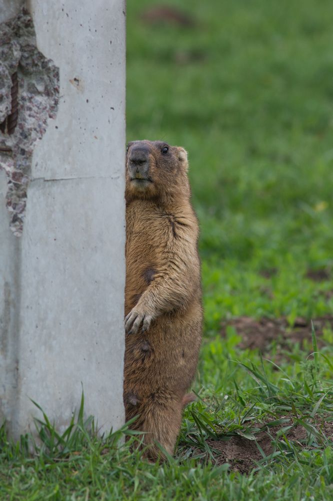 Photograph by Дмитрий Сумин