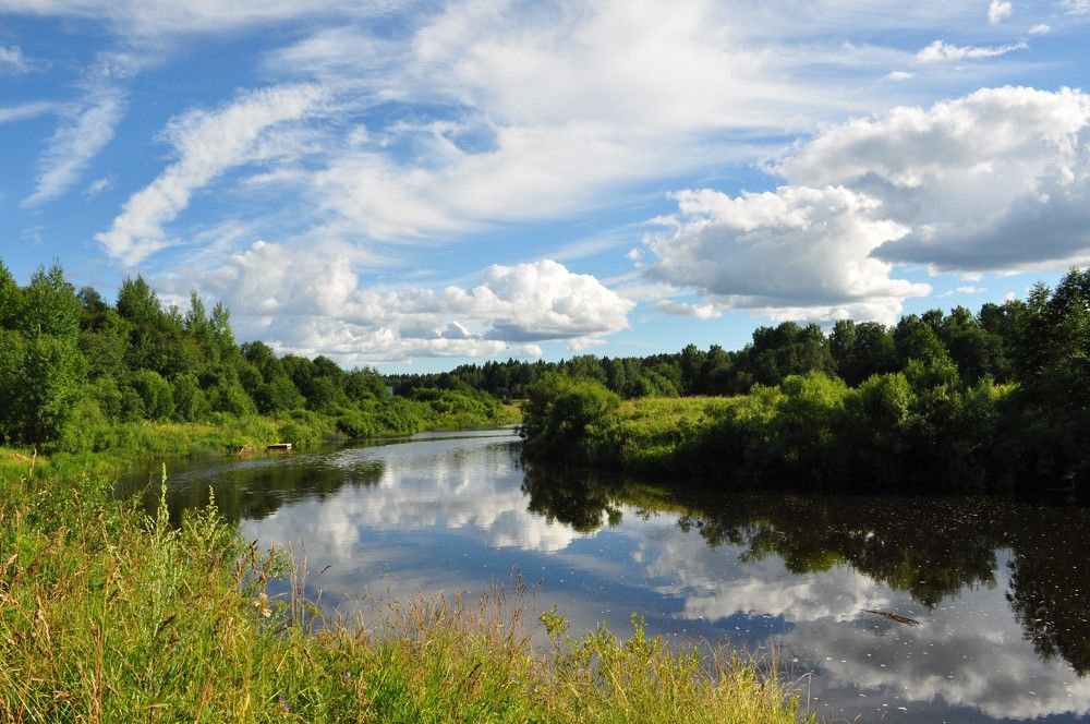 Фотография автора Наталья Липовская