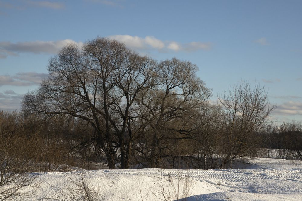 Зимний день