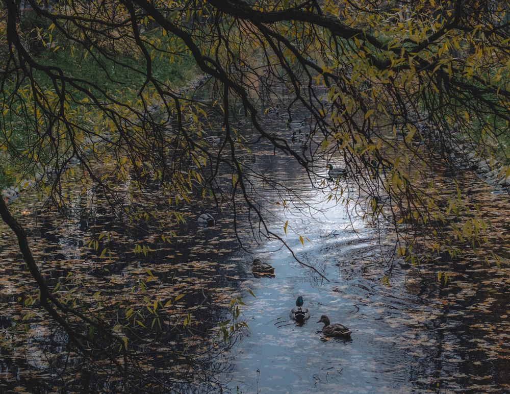 Photograph by Игорь Гичка