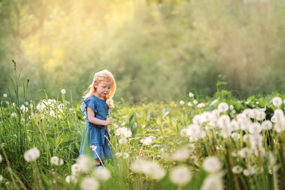 Photograph by Елена Лидмец