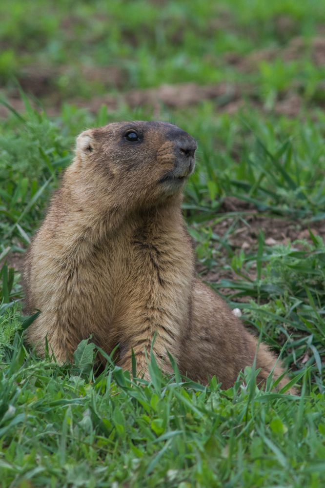 Photograph by Дмитрий Сумин