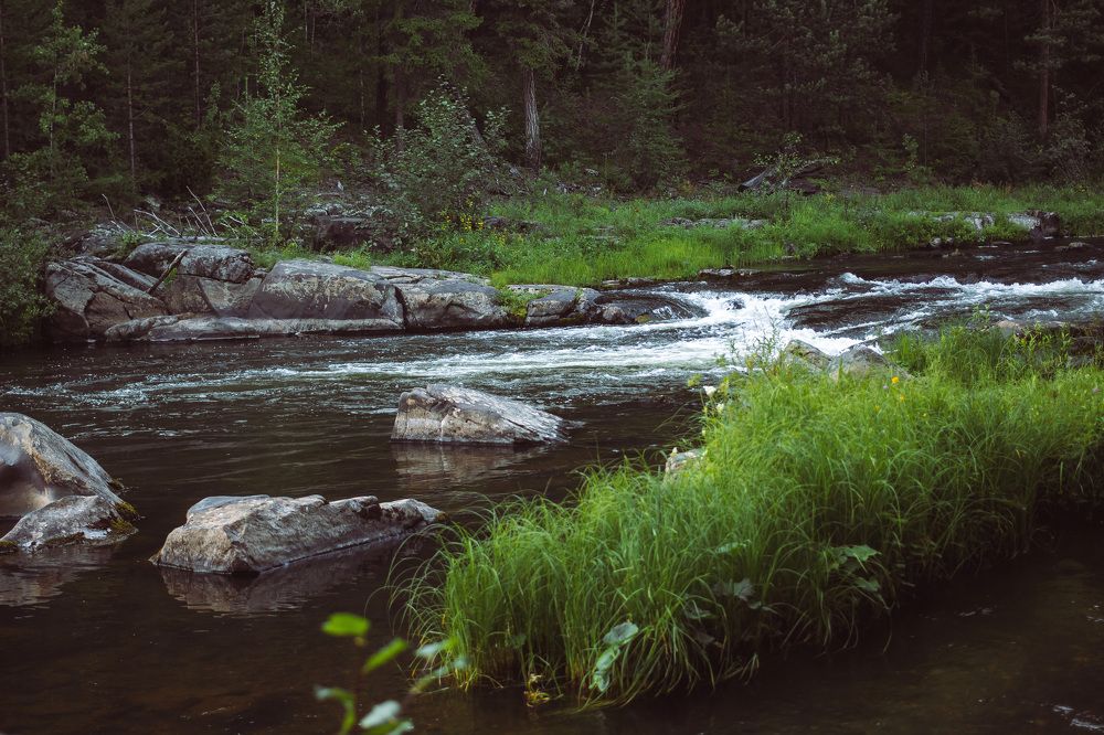 Photograph by Наталья Верхотурова