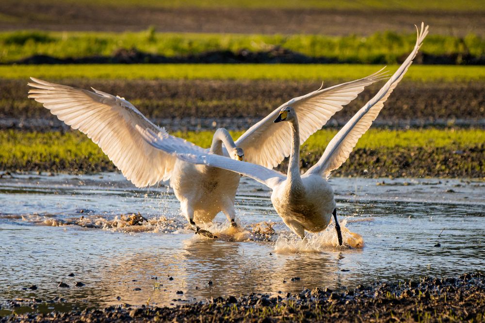Photograph by Alexander Kalinin