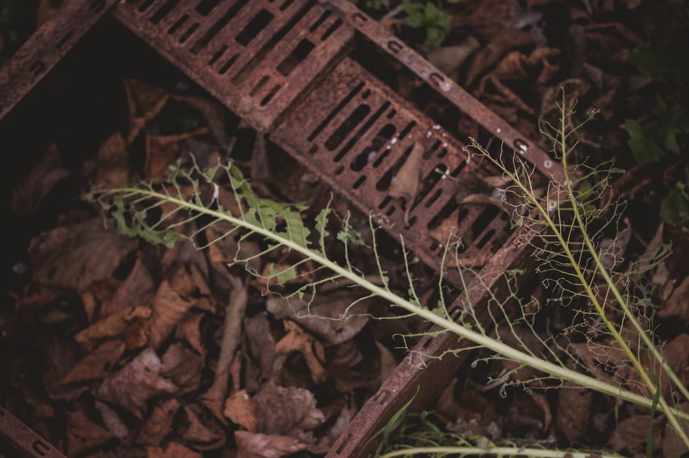 Photograph by Екатерина Ходус