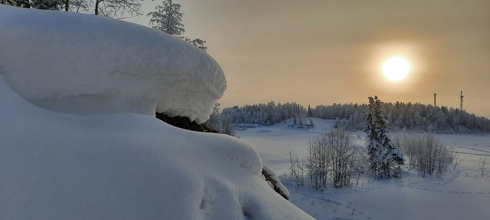 На Севере диком..