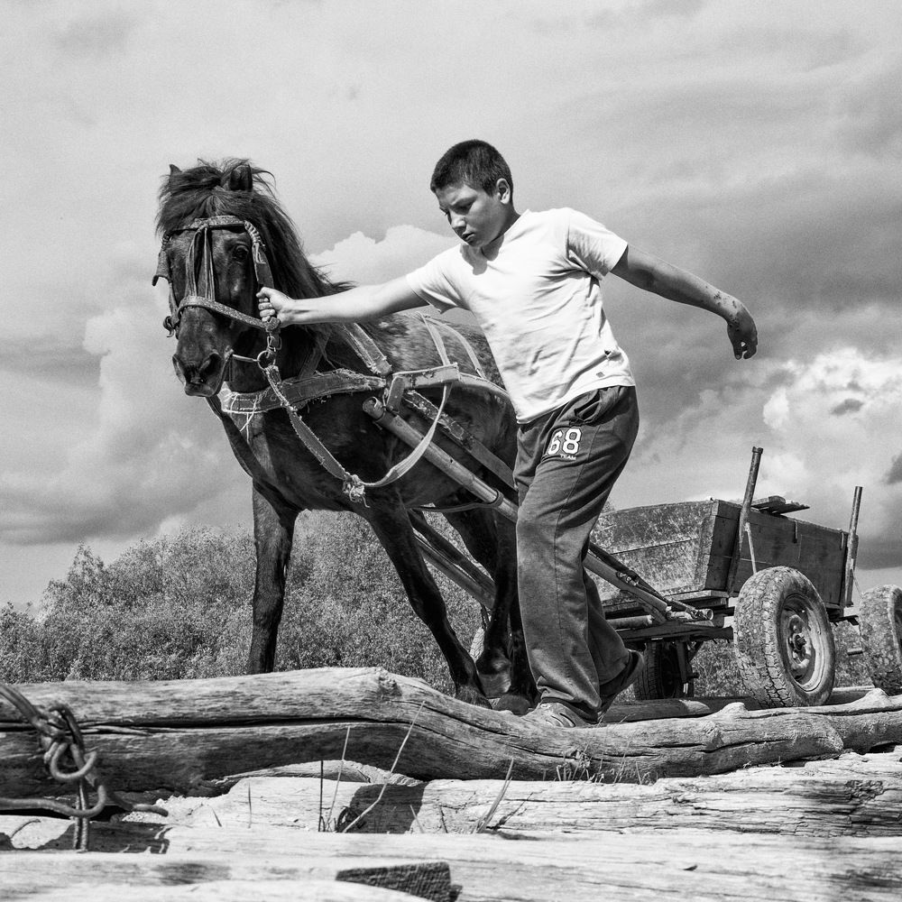 Photograph by Дмитрий Борденюк