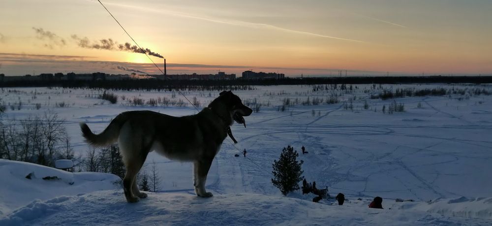 Фотография автора Maria Chernitsa