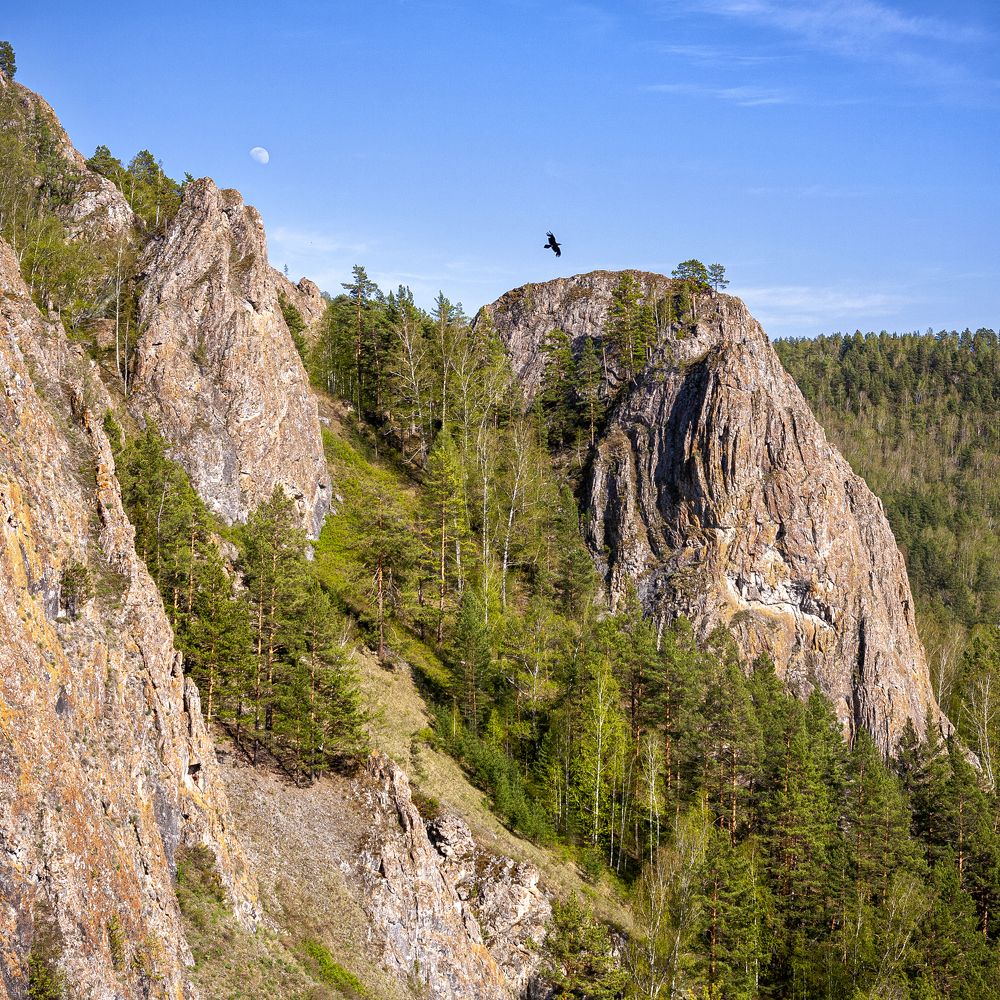 Photograph by Константин Самбурский