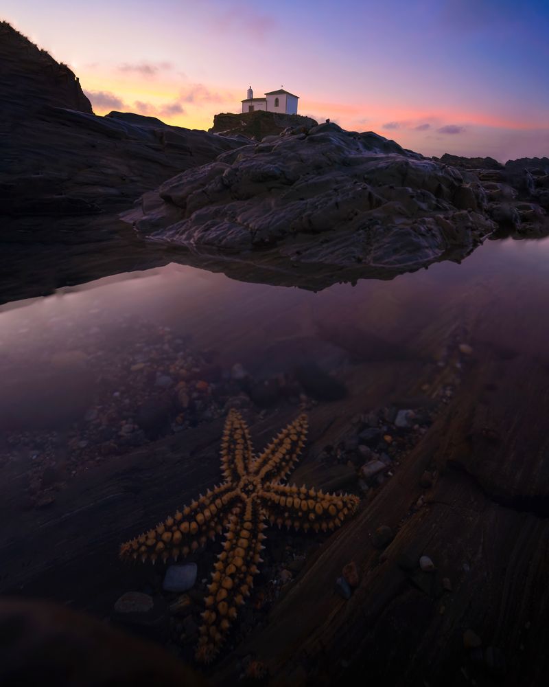 Photograph by Sergio Diaz