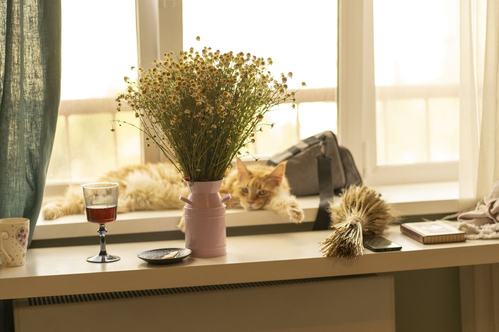 Photograph by Оксана Антипова