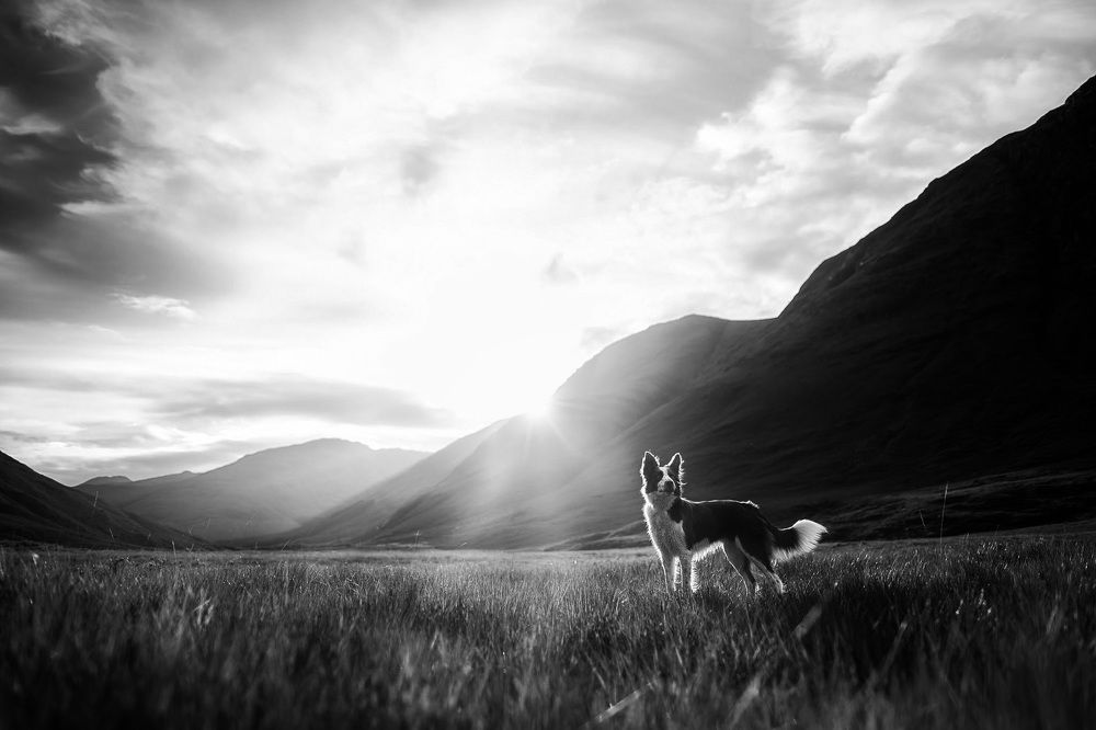 Photograph by Sara Nowak