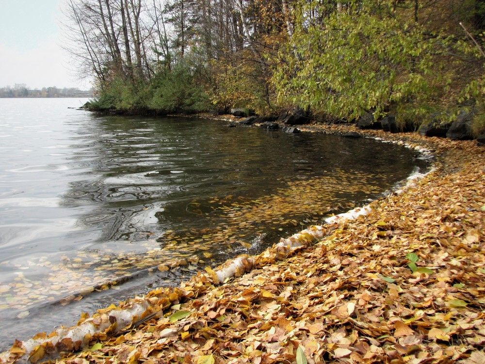 Photograph by Альбина