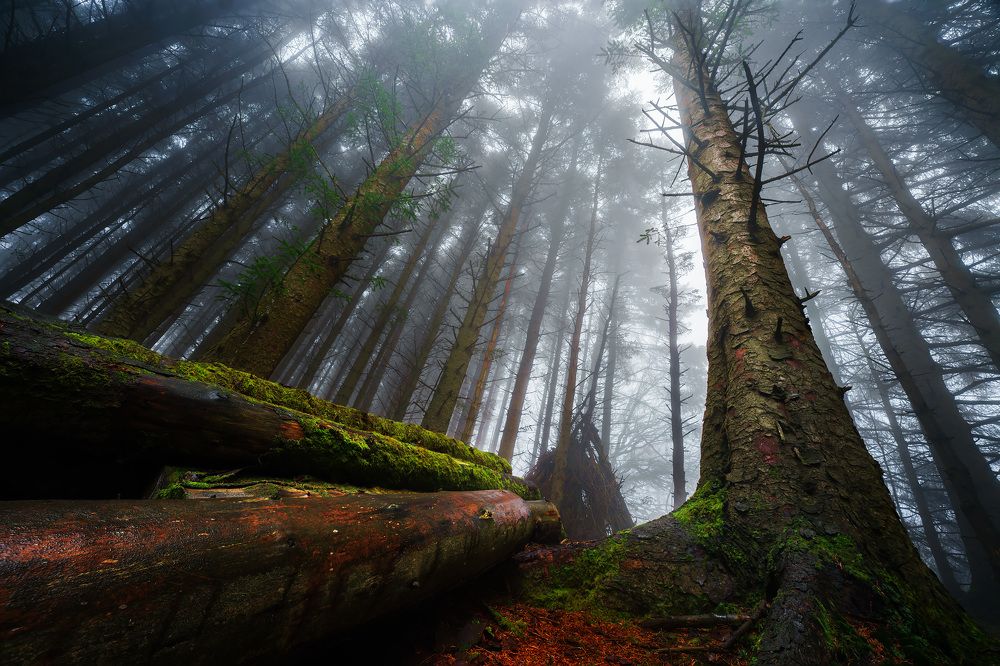 Photograph by Sara Nowak