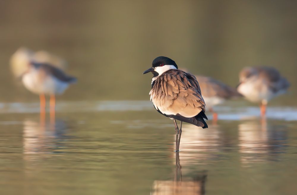 Photograph by Евгений Фруман
