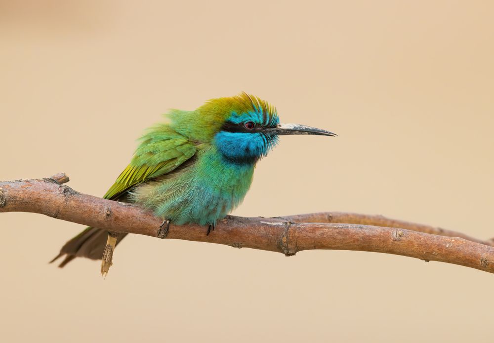 Photograph by Евгений Фруман