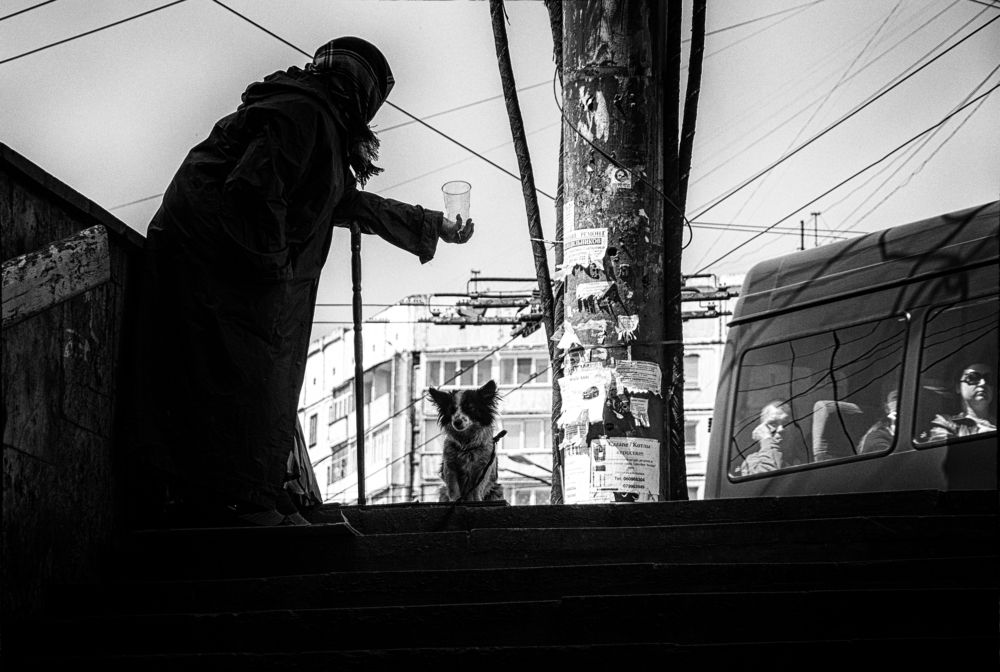 Photograph by Дмитрий Борденюк