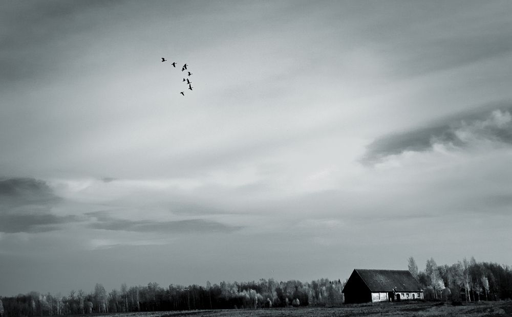 Photograph by Juris Buklovskis