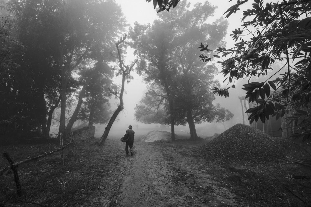 Фотография автора PRASHANT KUMAR DUBEY