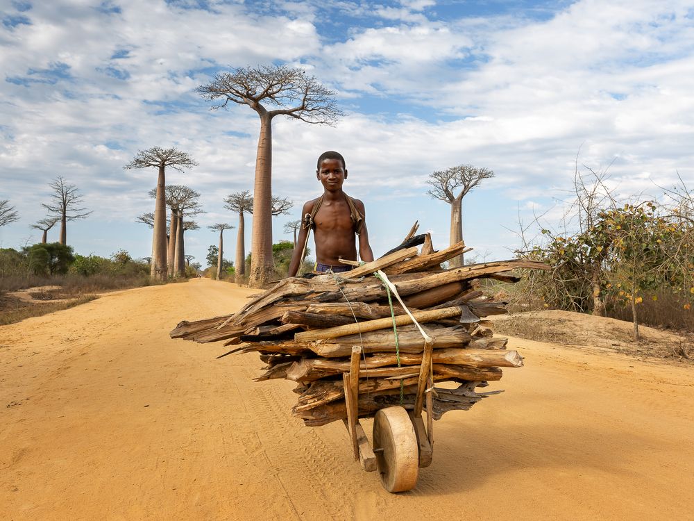 Трудовые будни. Мадагаскар