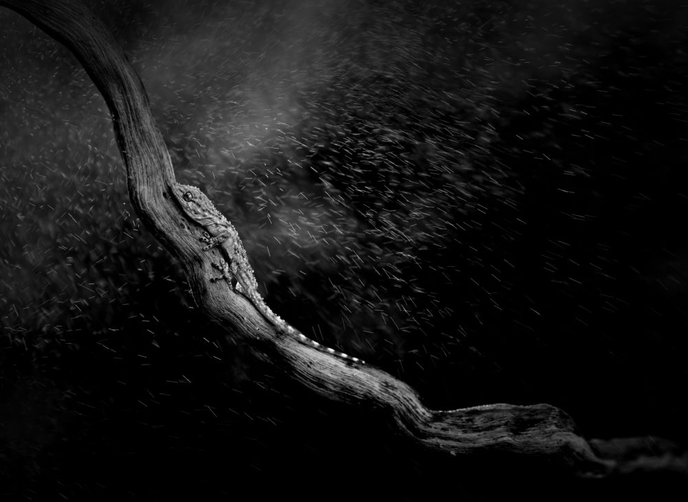 Photograph by simone batini